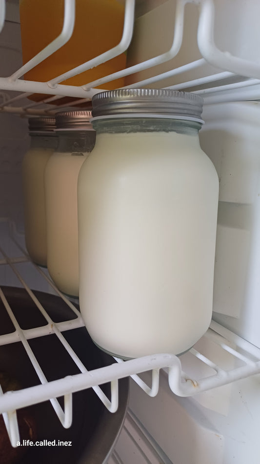 1 Litre Carton Local Yohurt